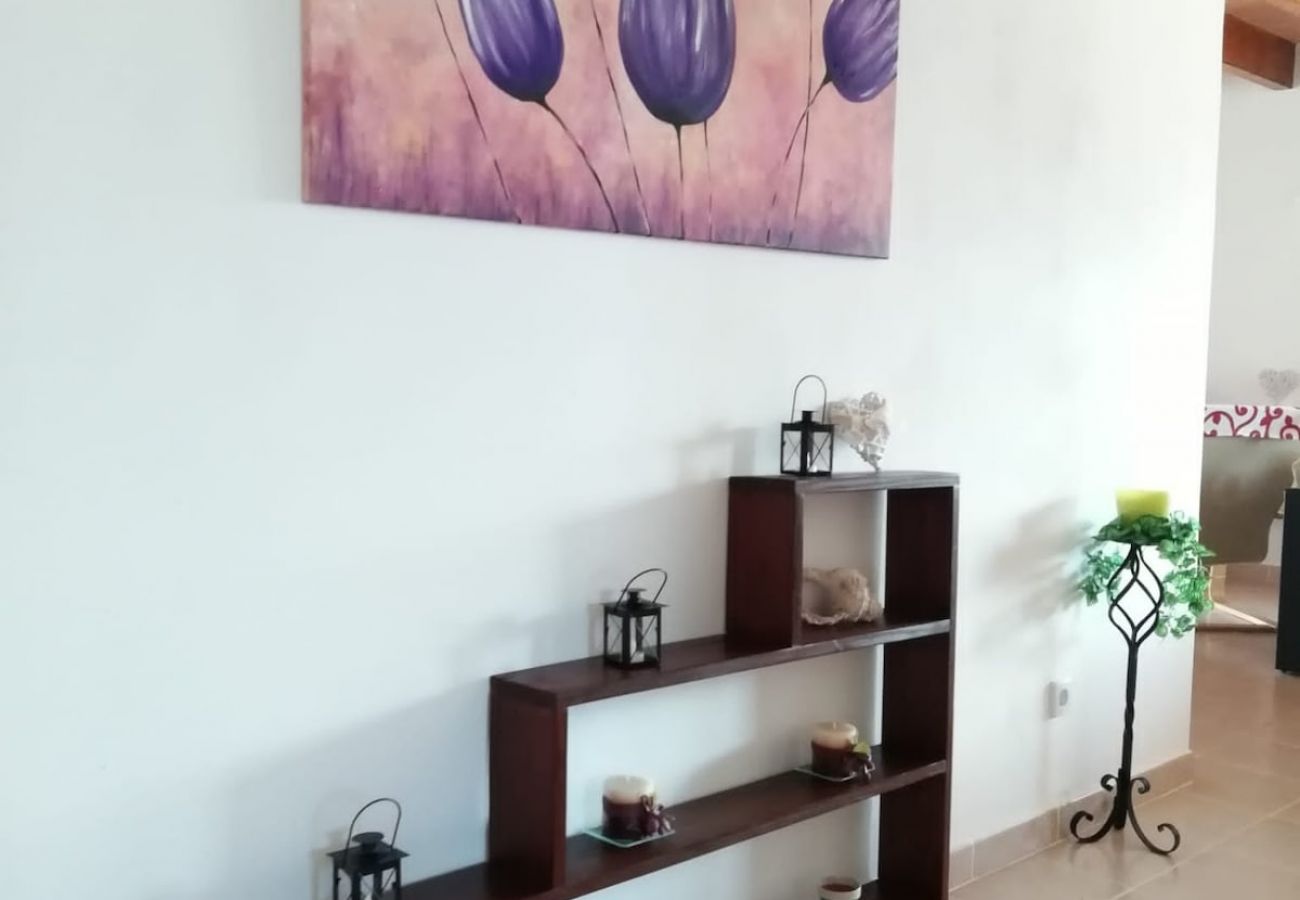 Villa in Arta - -
