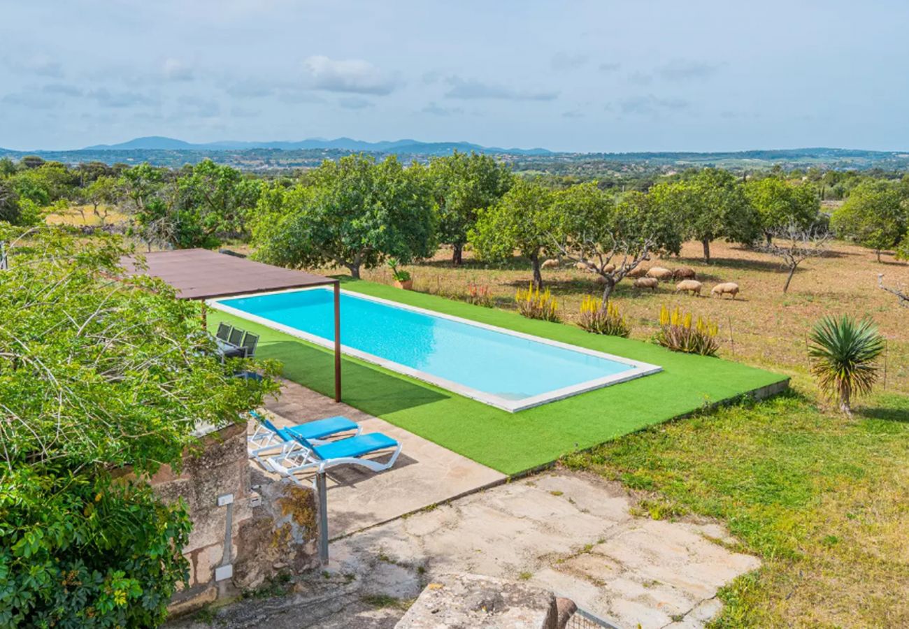 Finca in Sant Llorenç Des Cardassar - Can Rich