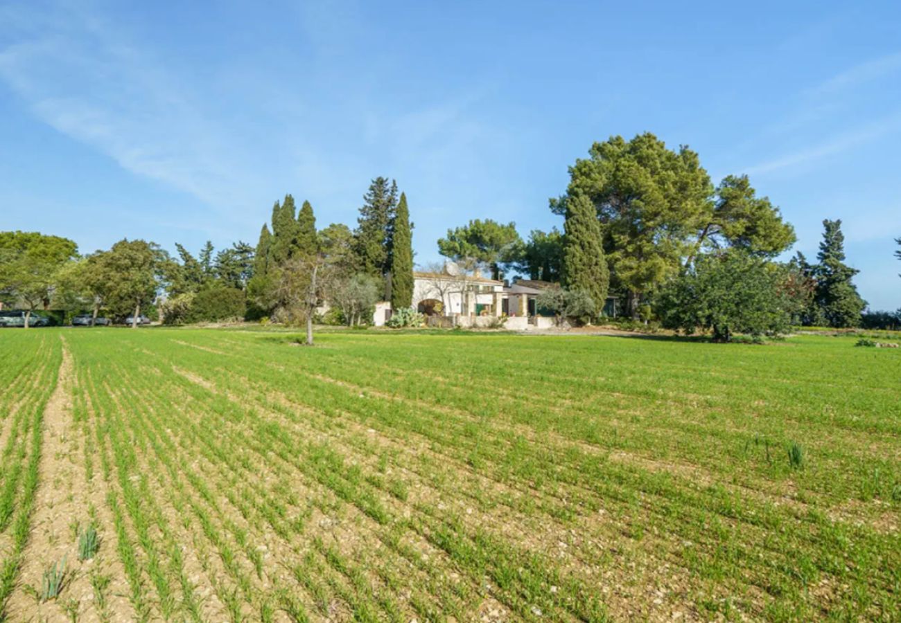 Villa in Pollensa - VILLA CAN CANAVER 