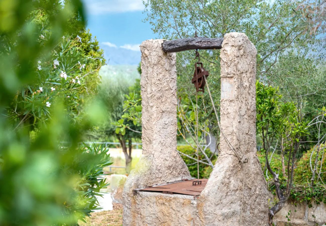 Finca in Pollensa / Pollença - Can Negri 