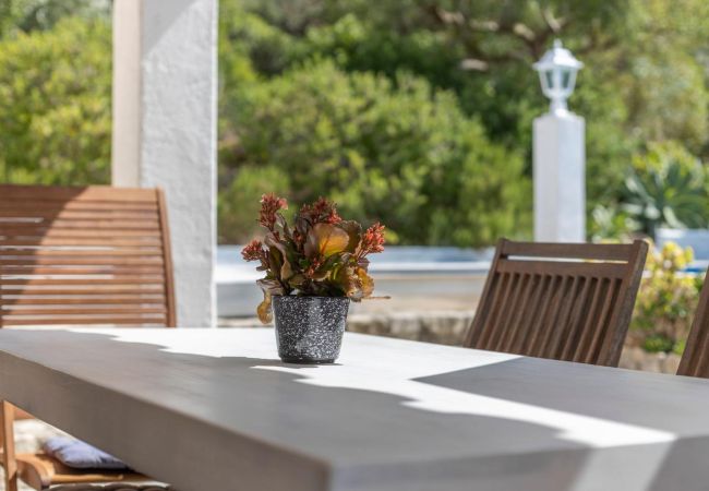 Villa in Pollensa / Pollença - Can Negri  Villa in Pollensa / Pollença - Can Negri