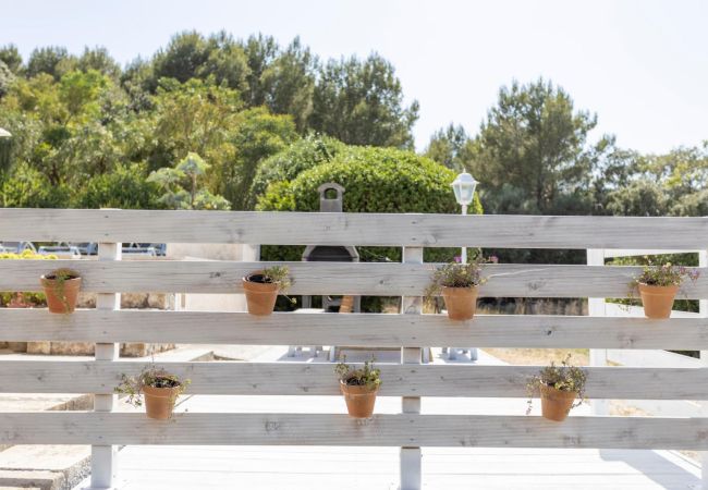 Villa in Pollensa / Pollença - Can Negri  Villa in Pollensa / Pollença - Can Negri