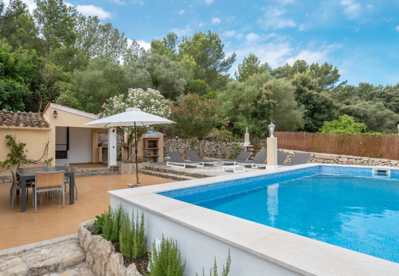 Country house in Pollensa / Pollença - Can Negri 