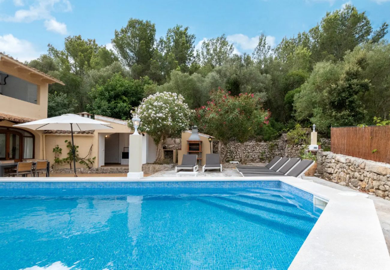 Country house in Pollensa / Pollença - Can Negri 
