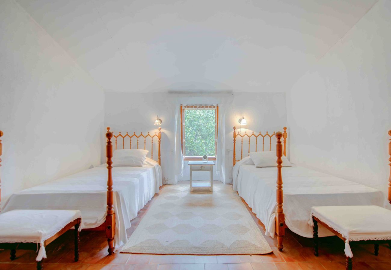 Villa in Port de Pollença - Preciosa finca rústica cerca de Pollensa